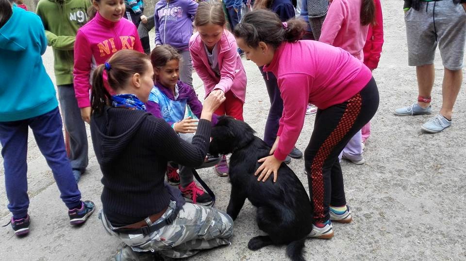 Westernové léto 2015